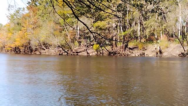My leg hurts so I went bank fishing
