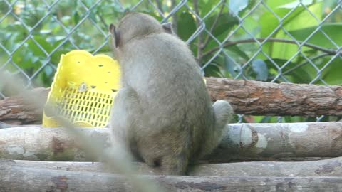 Baby Brabdi Enjoy her food