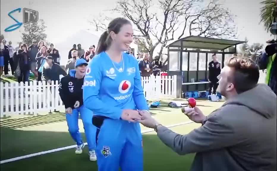 fans-video cricket lovers-video #cricket #cricketlover