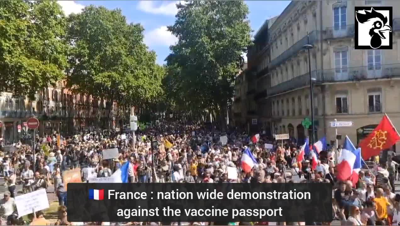 France: Sept. 4-5 2021 Nationwide Protests Against Vaccine Passports