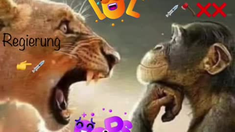 Regierung - Ich - Nö