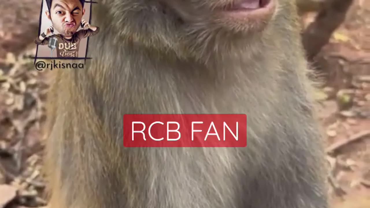 RCB KAB JEETEGI - KISNA - #shorts #rjkisnaa #rcb #ipl