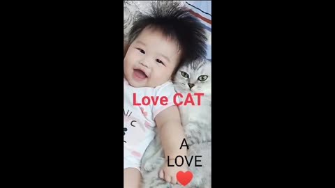 Amazing Cat love