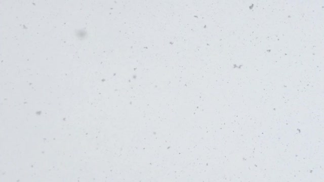 Big Falling Snowflakes