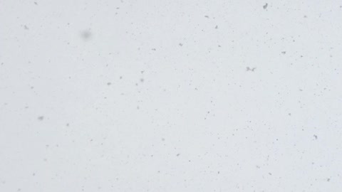 Big Falling Snowflakes