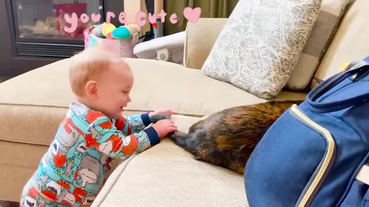 Baby VS Cat funny video_ part-2(720HD).mp4