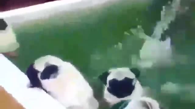 It's really comfortable to take a bath in the pool