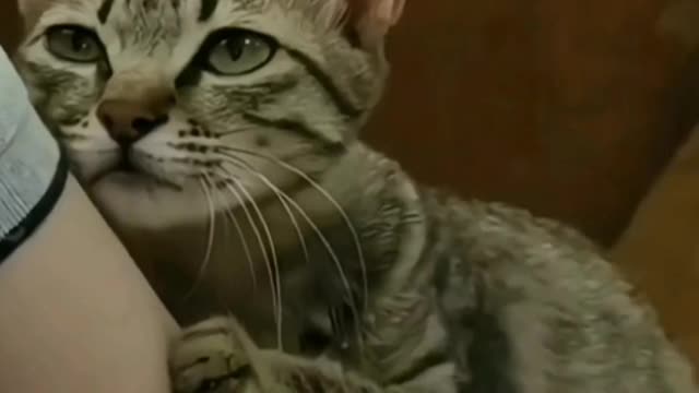scratching like an ant