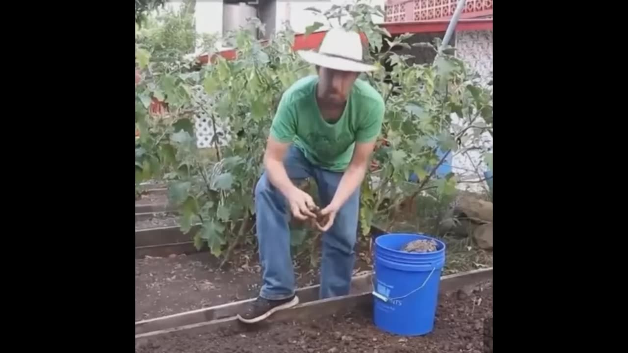 Aminopyalid = Bad Manure For Your Garden