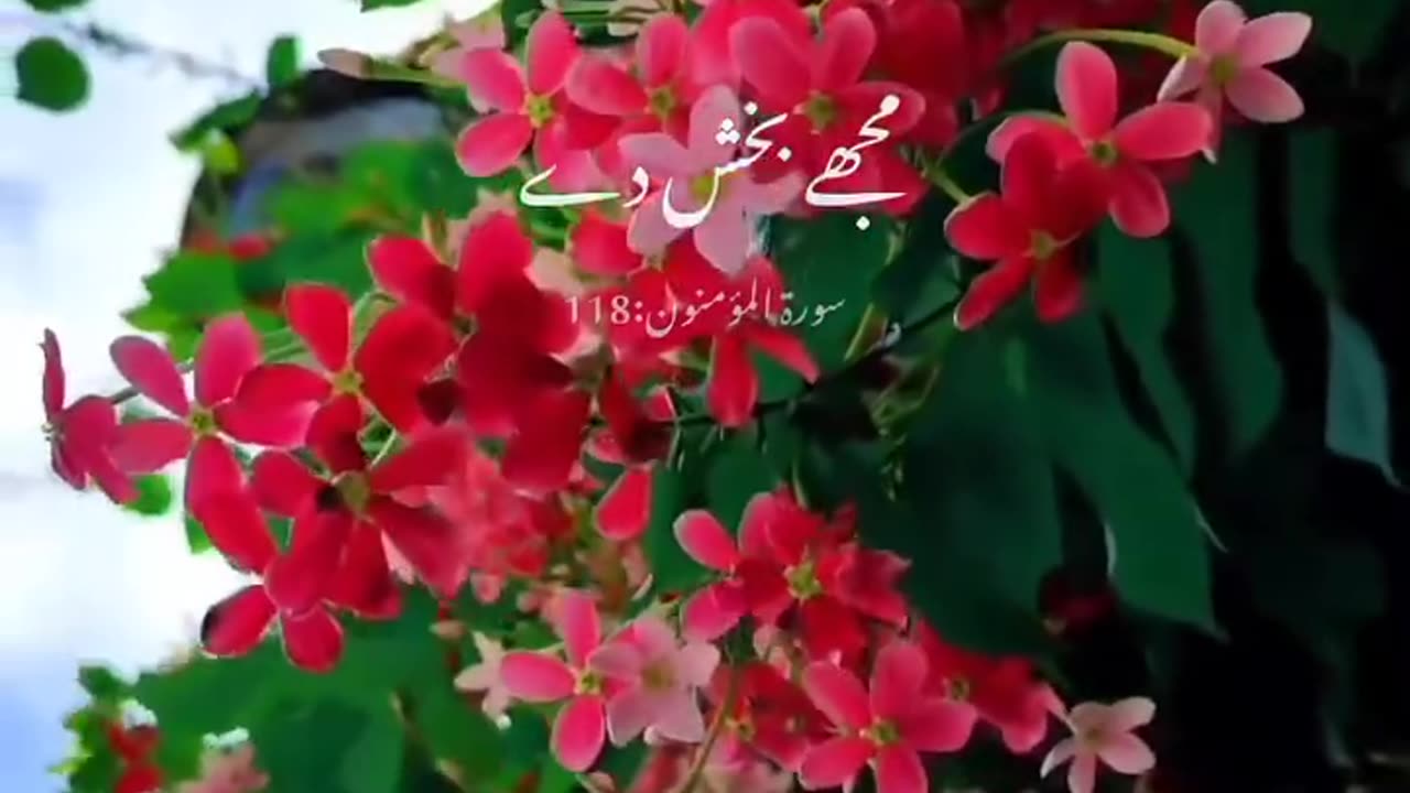 ayah from Surah-Almominoon