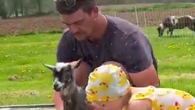 Bridgette loves her goats BUT they are stinky…SO it’s time for a BATH! 🛁