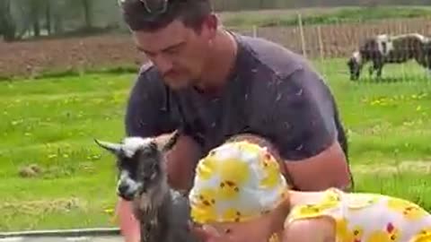 Bridgette loves her goats BUT they are stinky…SO it’s time for a BATH! 🛁