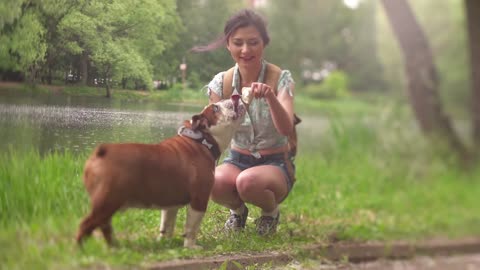 funny dog with sexy girl