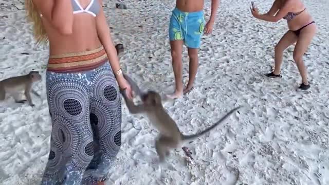 Monkey Attack Beach Girls