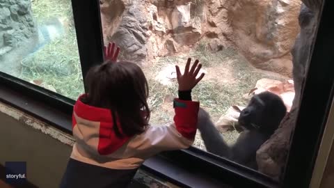 A little Girl playing with Chimpanzee