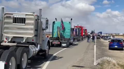 Cheering our US Convoy for FREEDOM!