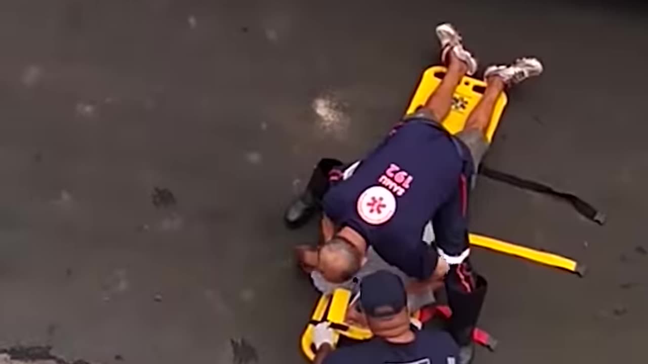 Protective Pup Worries Over Owner