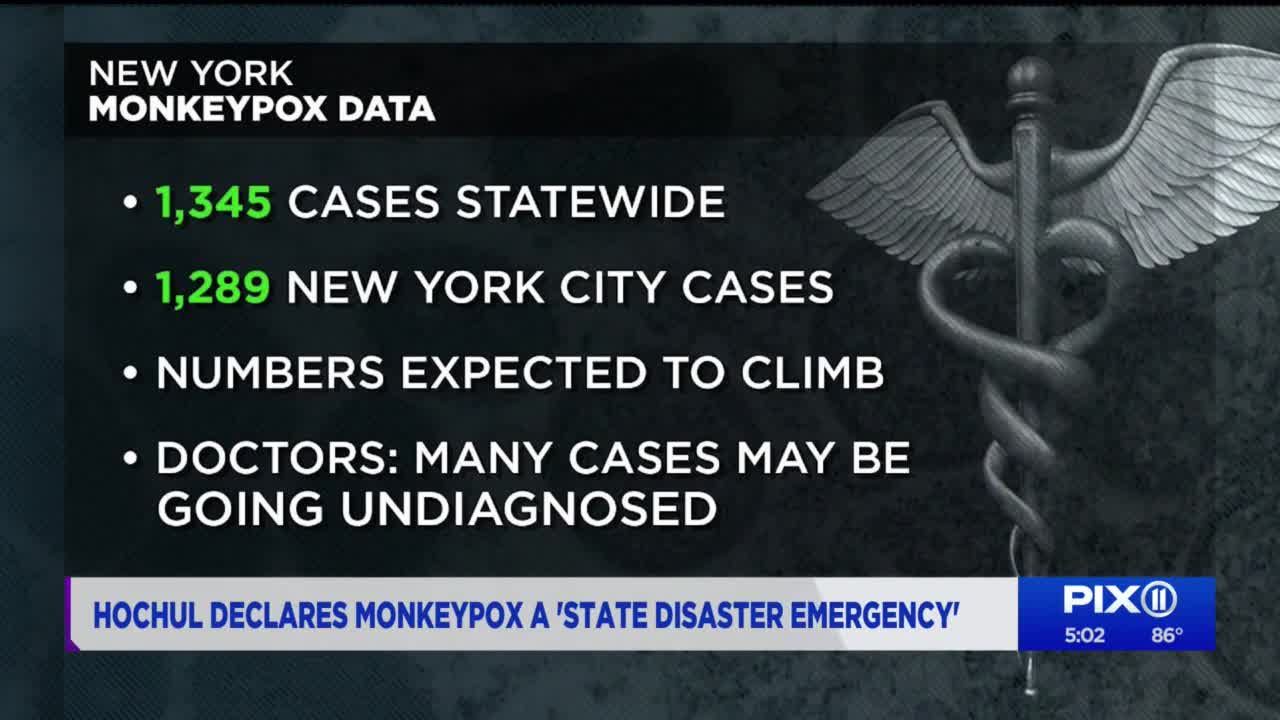 Hochul declares monkepox a state disaster emergency