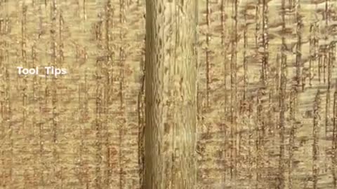 Crafting Wonders: A Journey into the Art of Wooden Elegance