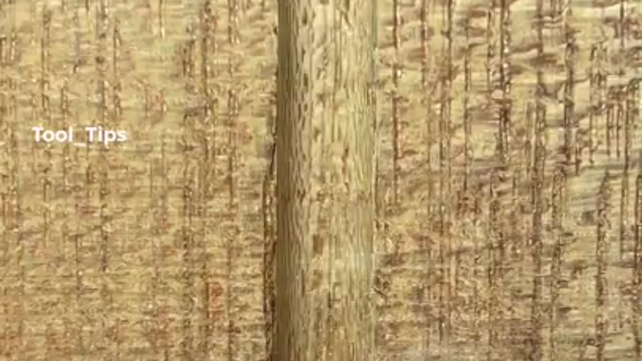 Crafting Wonders: A Journey into the Art of Wooden Elegance