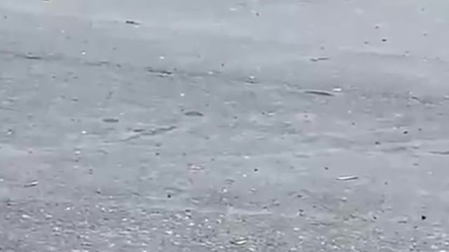 In a hurry