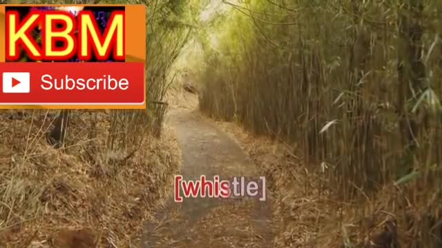 Tagalog karaoke song with lyrics hits song owned & licensed by ICE_CS, FILSCAP, VCPMC_CS, and CASH