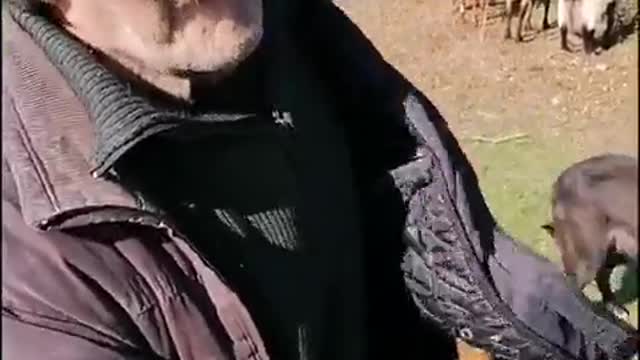 ΠΑΠΠΟΥΣ 82 ΧΡΟΝΩΝ-ΓΙΑΤΙ ΦΕΥΓΩ ΑΠΤΟ ΣΠΙΤΙ.