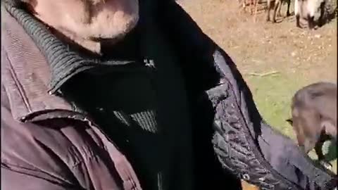 ΠΑΠΠΟΥΣ 82 ΧΡΟΝΩΝ-ΓΙΑΤΙ ΦΕΥΓΩ ΑΠΤΟ ΣΠΙΤΙ.