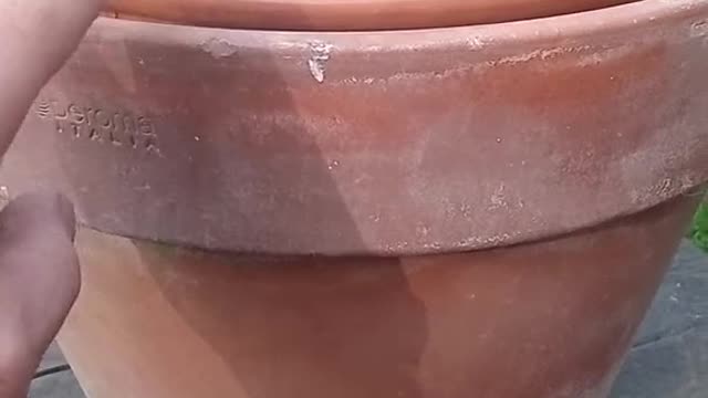 How to make a "homemade fridge"