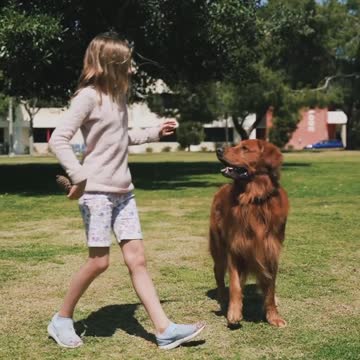 #rumbleviralvideo #rumblefeature #rumbledogs #shortsdogsvideo