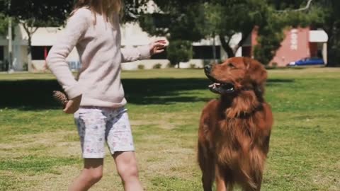#rumbleviralvideo #rumblefeature #rumbledogs #shortsdogsvideo