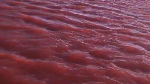 THE NILE IN EGYPT TURNS RED 9/11/23... Revelation 16:3