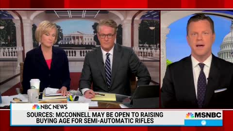 Morning Joe hosts mock the Second Amendment