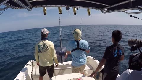 Fishing For MONSTER Goliath Groupers