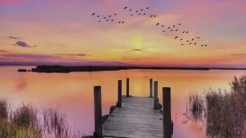 Relaxing Piano Music: Sleep Music, Water Sounds, Relaxing Music, Meditation Music