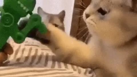Toy dinosaur playing with cat