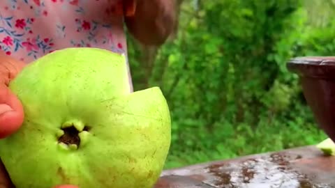 How to guava testing