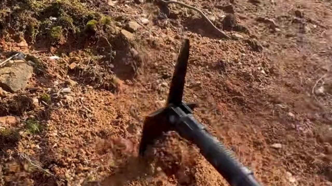 Cooking beef ribs in mud soil
