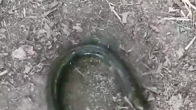 These things are slimy