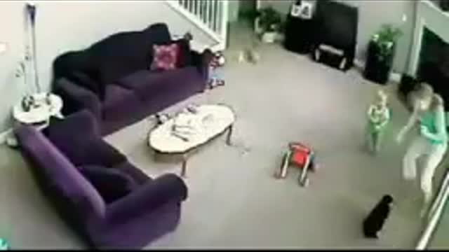 CCTV CAT DEFENDS BABY FROM BABYSITTER