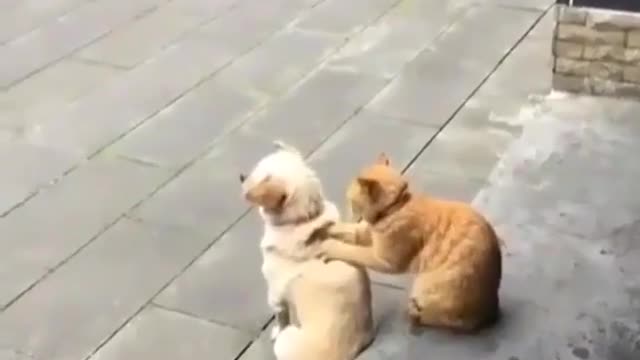 Don't move, let me press your back