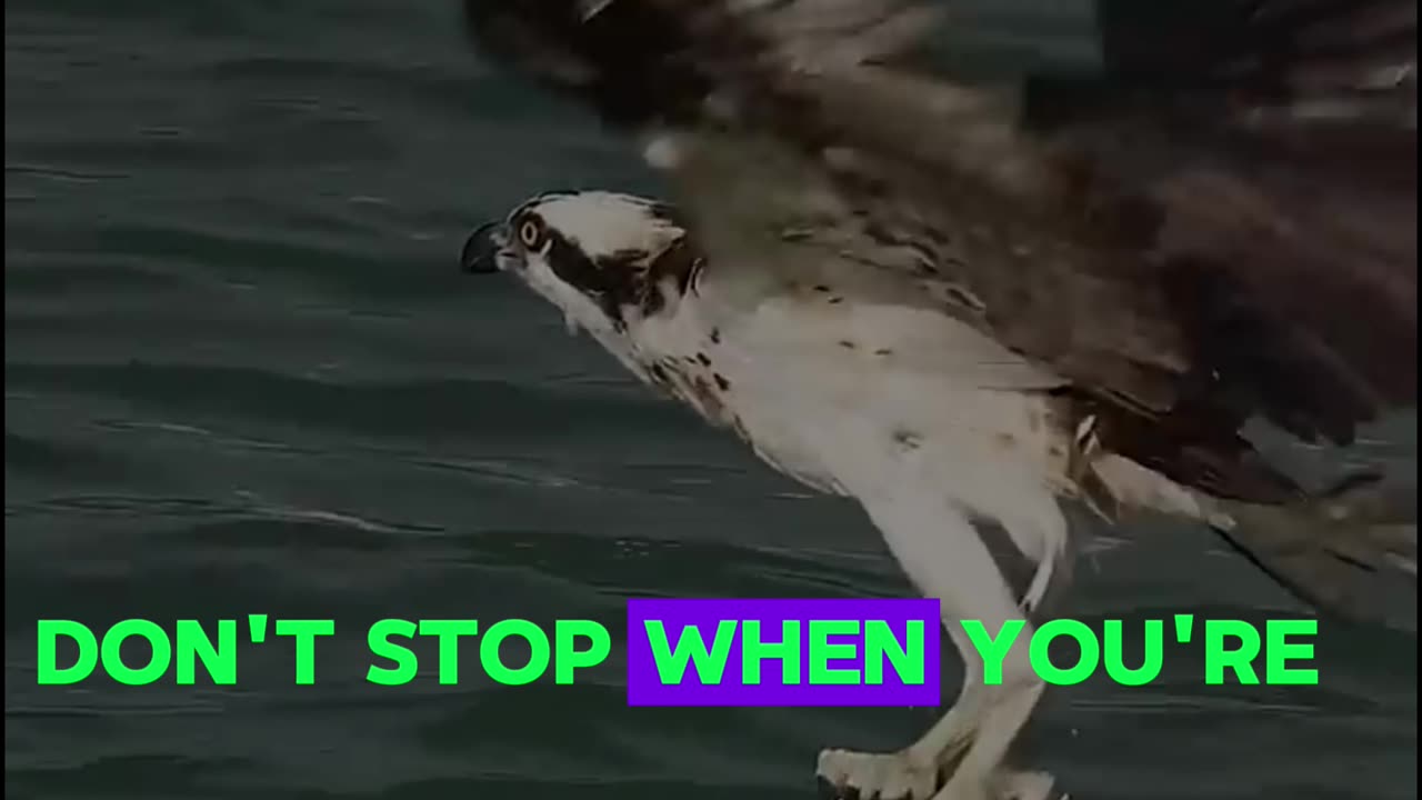 Kill Your Laziness