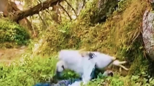 Watch the end 🥺