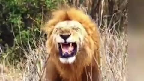 Comedy video scenes 😂😂😛😛