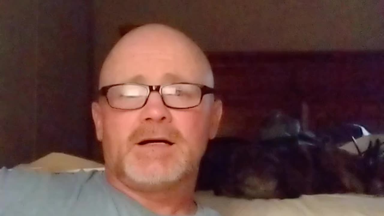 The Authentic Chameleon - How is fear holding you back?