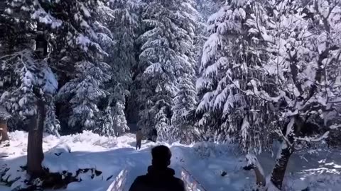 Winter ❄️ kashmir