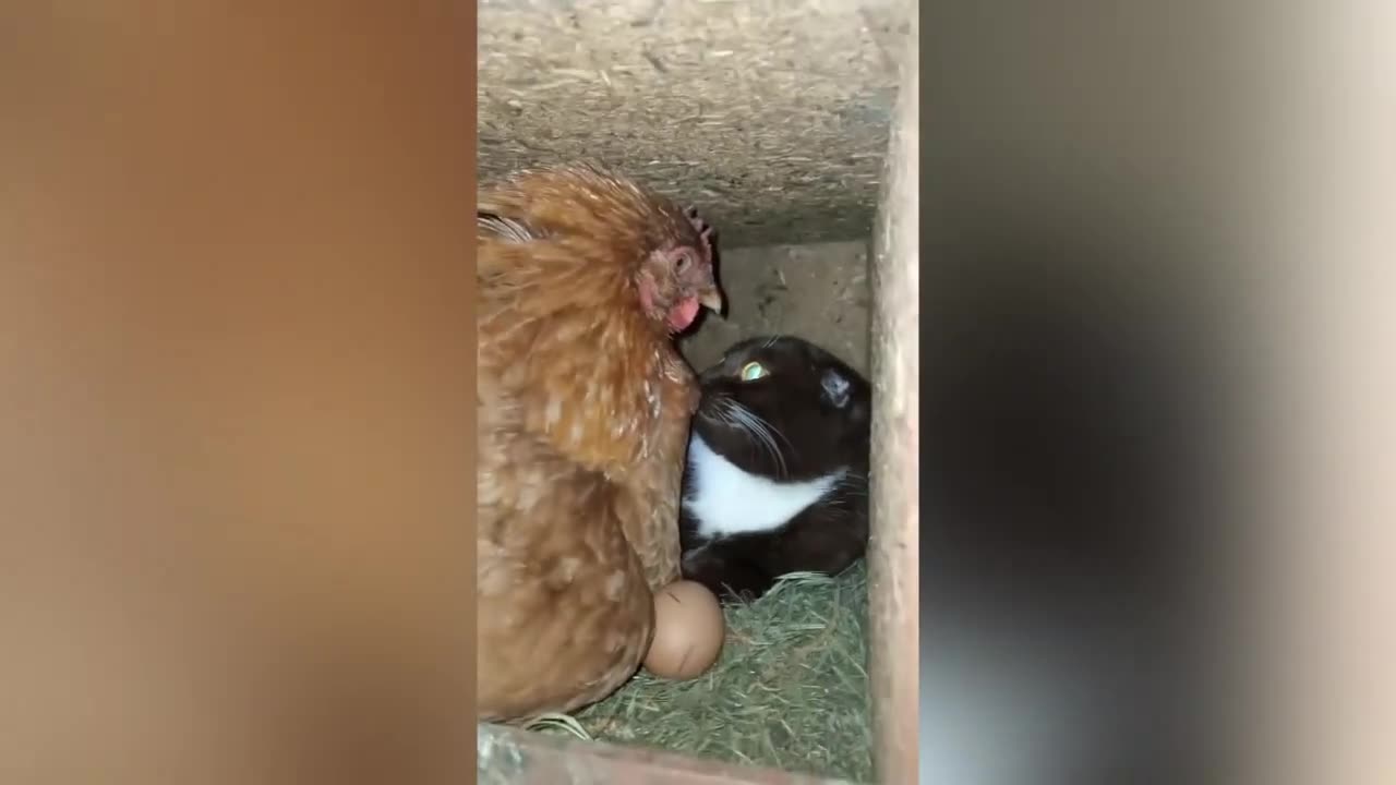 Я Ржал целый час