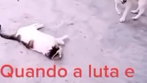 Quando a luta é combinada