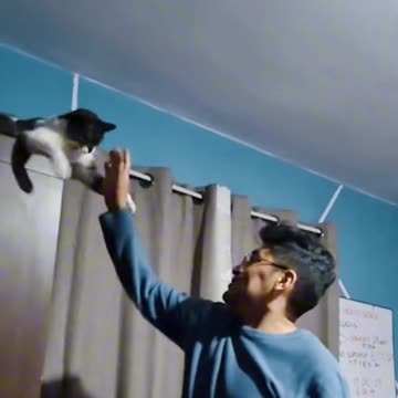 How a spitting cat stole the spotlight : unveiling the Purr-fect talent