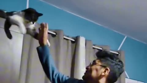 How a spitting cat stole the spotlight : unveiling the Purr-fect talent